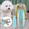 Kit de atención profesional Conjunto de herramientas integrales de aseo de mascotas