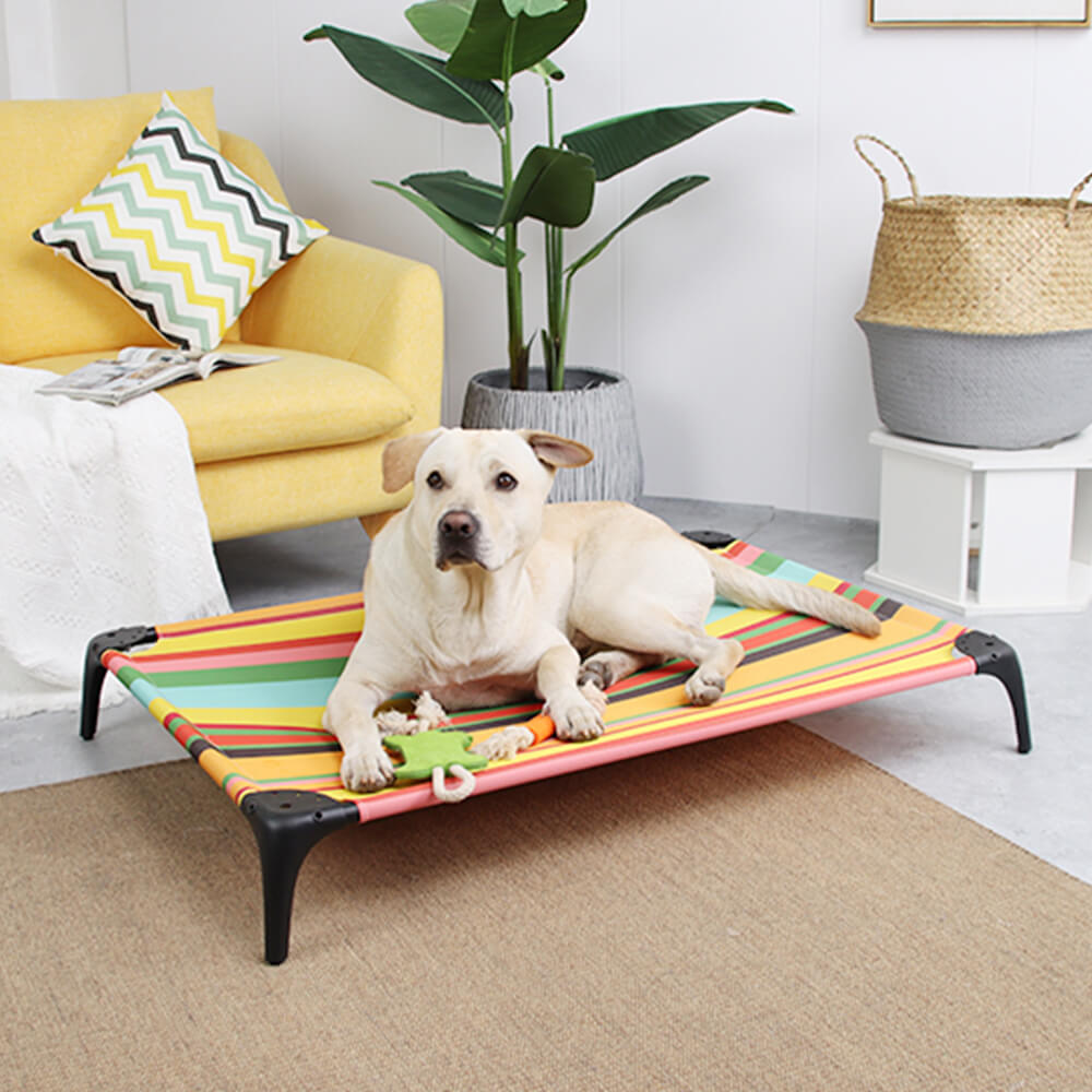 Rainbow Striped Elevated Pet Bed with Pillow – Durable, Bite-Resistant, and Load-Bearing