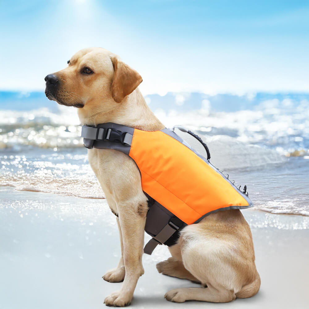 Secure and Buoyant High-Visibility Dog Life Jacket