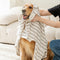 Absorbente rayado grueso grande para la piel de la piel del perro múltiple toalla de baño del perro