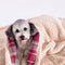 Cozon Cosy Cozy Plaid Sherpa Fleece Blanket para perros y gatos