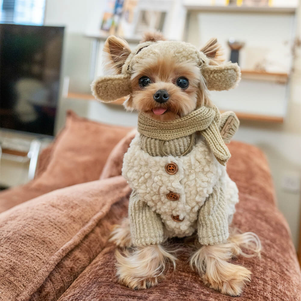 Warm Faux Lambswool Buttoned Dog & Cat Vest & Sweater Set