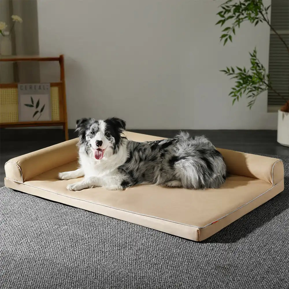 Cama ortopédica de espuma de huevo impermeable con lados de perros grandes para refugios