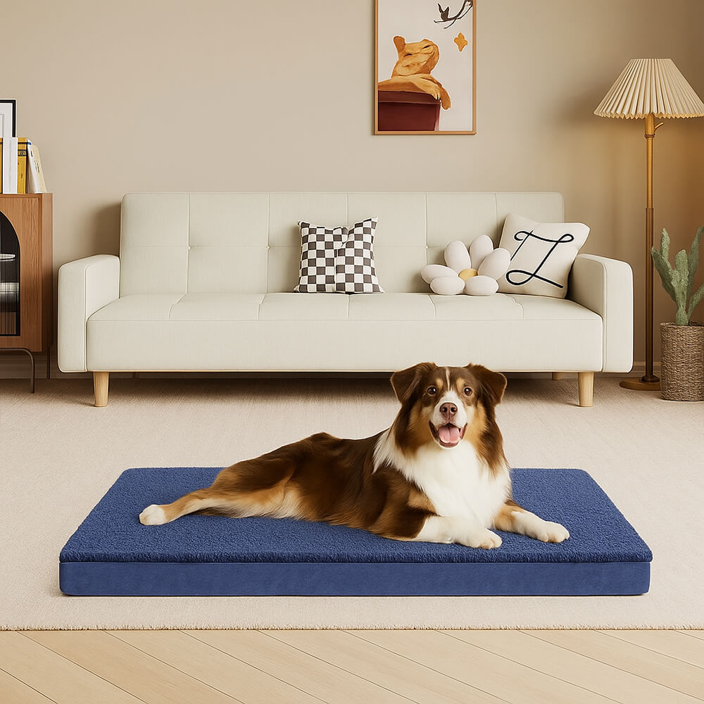 Cama de perros de espuma de memoria ortopédica impermeable