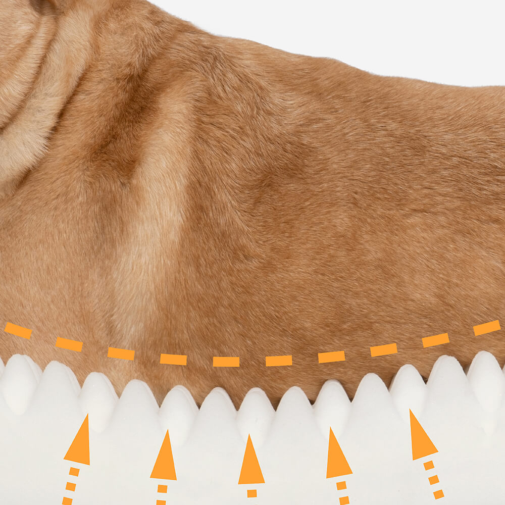Cama ortopédica cómoda para perros con soporte completo