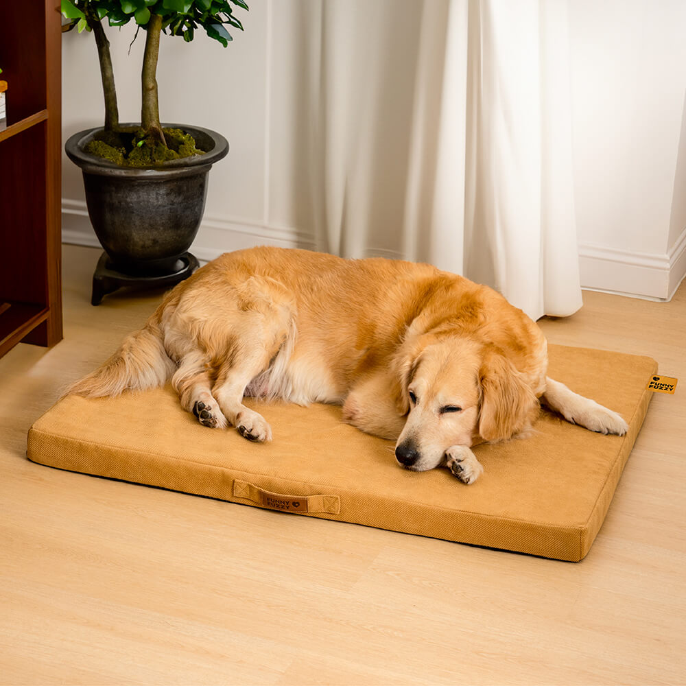 Cama ortopédica portátil para perros con soporte de espuma