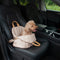 Bolsa de mascotas de coche expansible de Fashion Shell Fashion