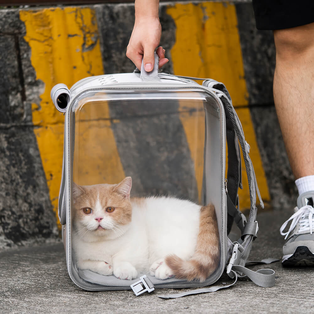 Mochila transparente con ruedas silenciosas para gatos, maletín con ruedas para mascotas de doble propósito