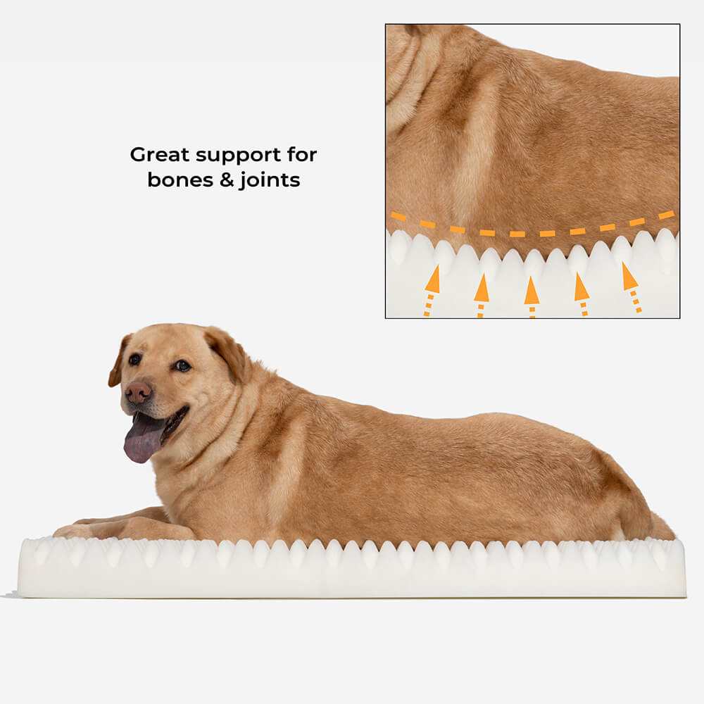Cama ortopédica para perros humanos Ultimate Cozy Plush extra grande para dormir más profundamente