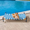 Cama de perros de aluminio vibrante de estilo de impresión de verano - paraíso de verano