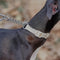 Reacción en cadena Anti-Pull Martingale Collar de entrenamiento para perros