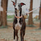 Reacción en cadena Anti-Pull Martingale Collar de entrenamiento para perros