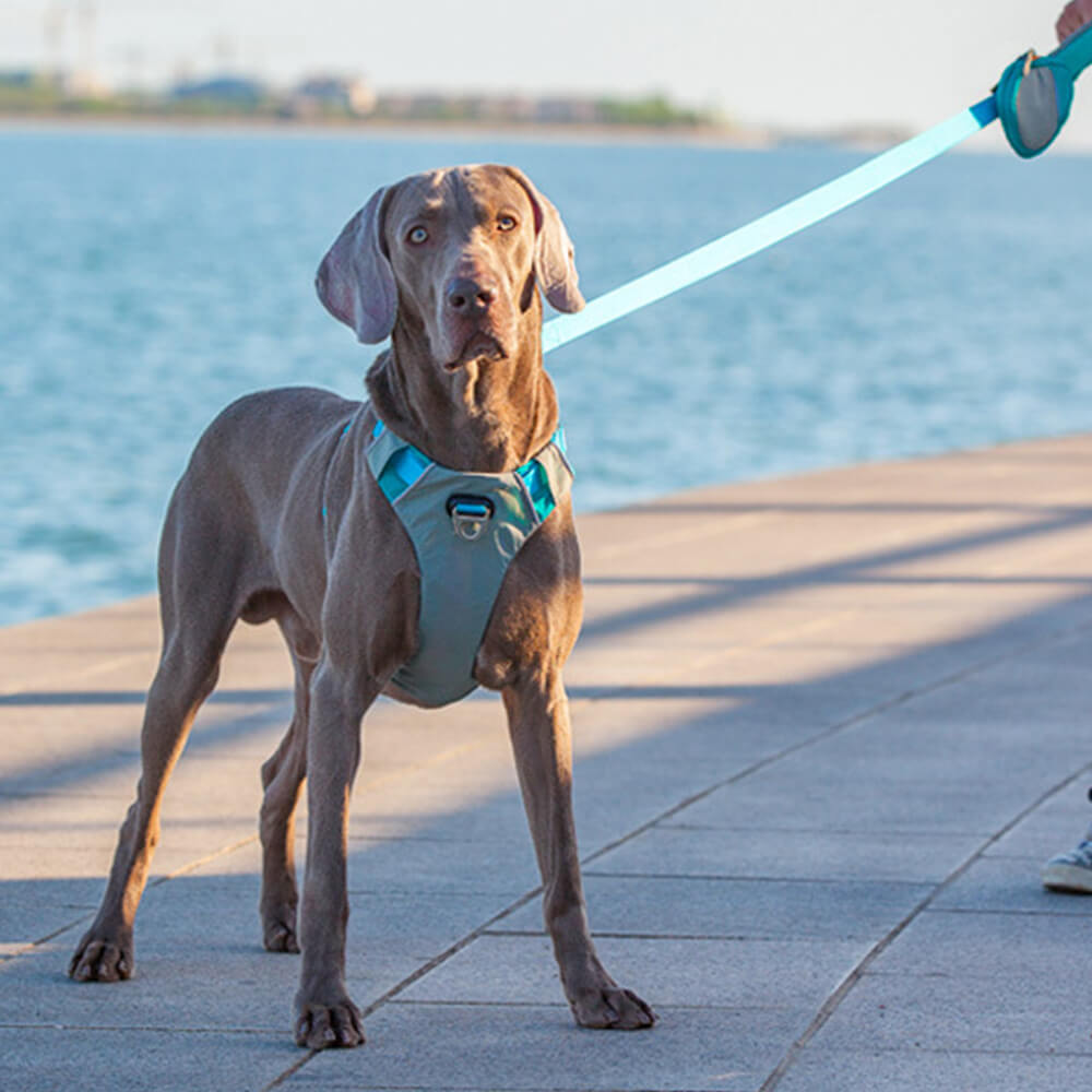 Kit multifuncional para caminar con arnés y correa para perros grandes, cómodo, sin tirones