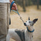Collar y correa de perros anti-pull reflectantes multifuncionales
