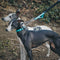 Collar y correa de perros anti-pull reflectantes multifuncionales