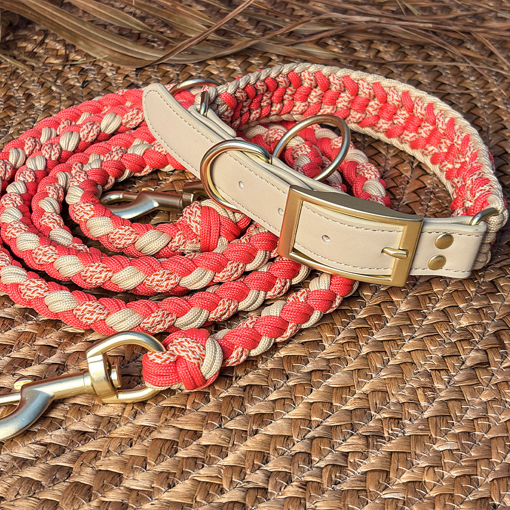 Collar de perros anti-Pull de cuero tejido a mano y set de correa