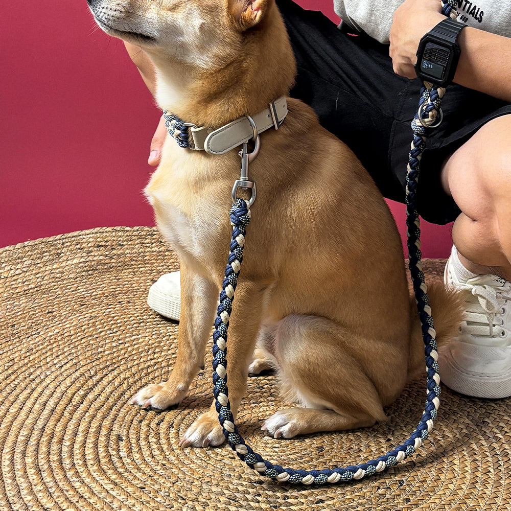 Juego de correa y collar para perro antitirones multifuncionales de cuero tejido a mano