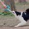 Tomador interactivo de tira y tira de la guerra Toy de goma Chew Toy