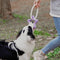 Tomador interactivo de tira y tira de la guerra Toy de goma Chew Toy