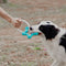 Tomador interactivo de tira y tira de la guerra Toy de goma Chew Toy