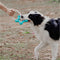 Tomador interactivo de tira y tira de la guerra Toy de goma Chew Toy