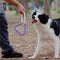 Tomador interactivo de tira y tira de la guerra Toy de goma Chew Toy