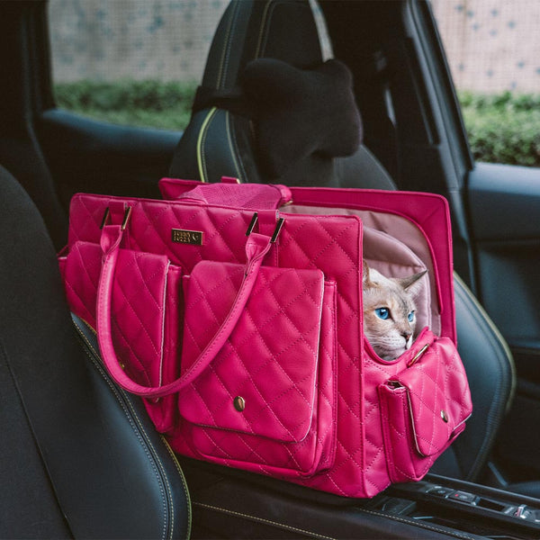 Bolsa de gato de viaje compartido de gato humano y elegante con elegantes con elegantes