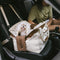 Gran asiento de refuerzo de automóvil para perros de seguridad para perros resistente al agua - Rover Urban
