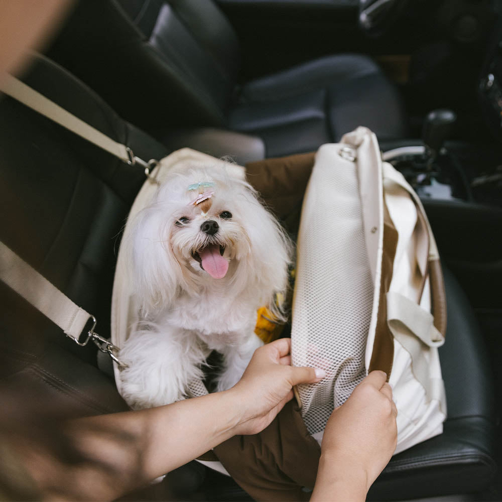 Gran asiento de refuerzo de automóvil para perros de seguridad para perros resistente al agua - Rover Urban