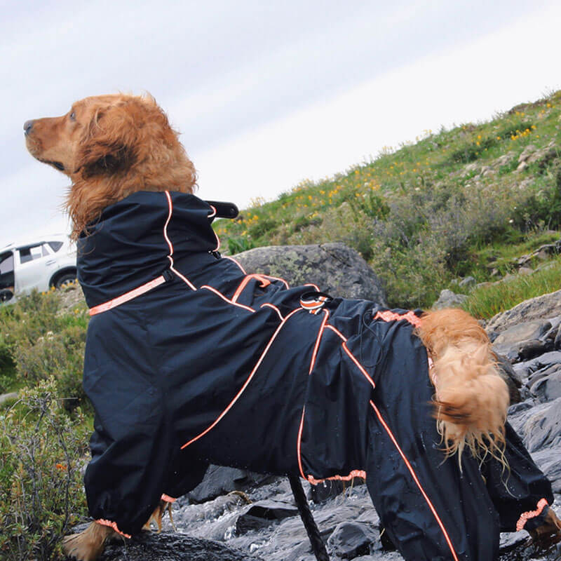 Chaqueta impermeable para exteriores para perros grandes, impermeable, ajustable, para lluvia