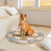 Gran forma de flores Floral Chic Pet Mat