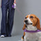 Nylon Adjustable Reflective No-Pull Dog Harness Collar and Leash