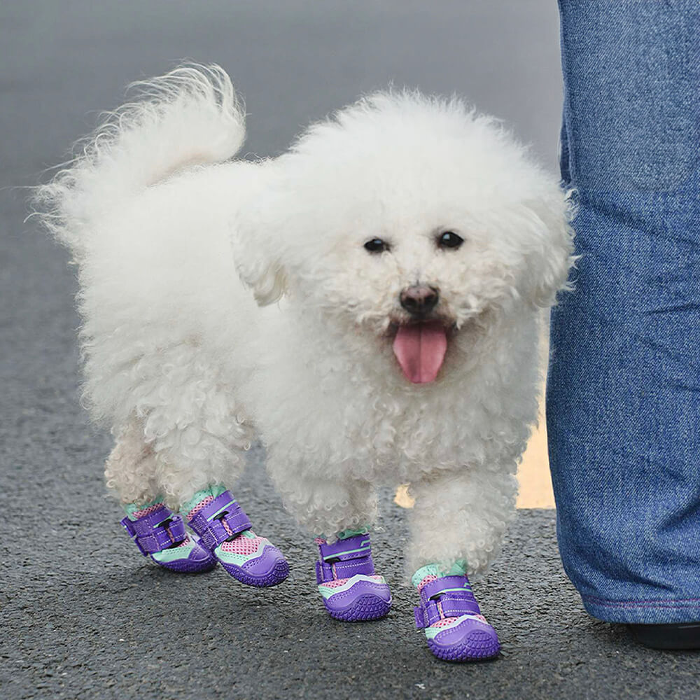 Outdoor Breathable Hiking Running Anti-slip Dog Shoes