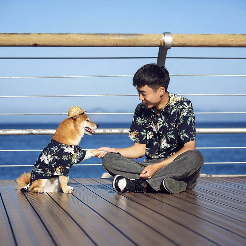 Hawaiian Matching Shirt For Dog and Owner Clothes