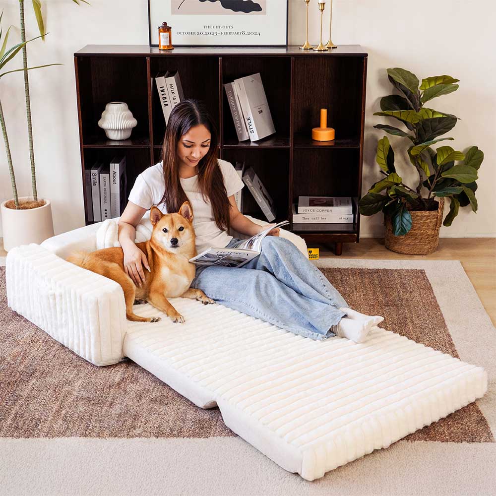 Plush Fluffy Large Orthopedic Human-Dog Bolster Bed