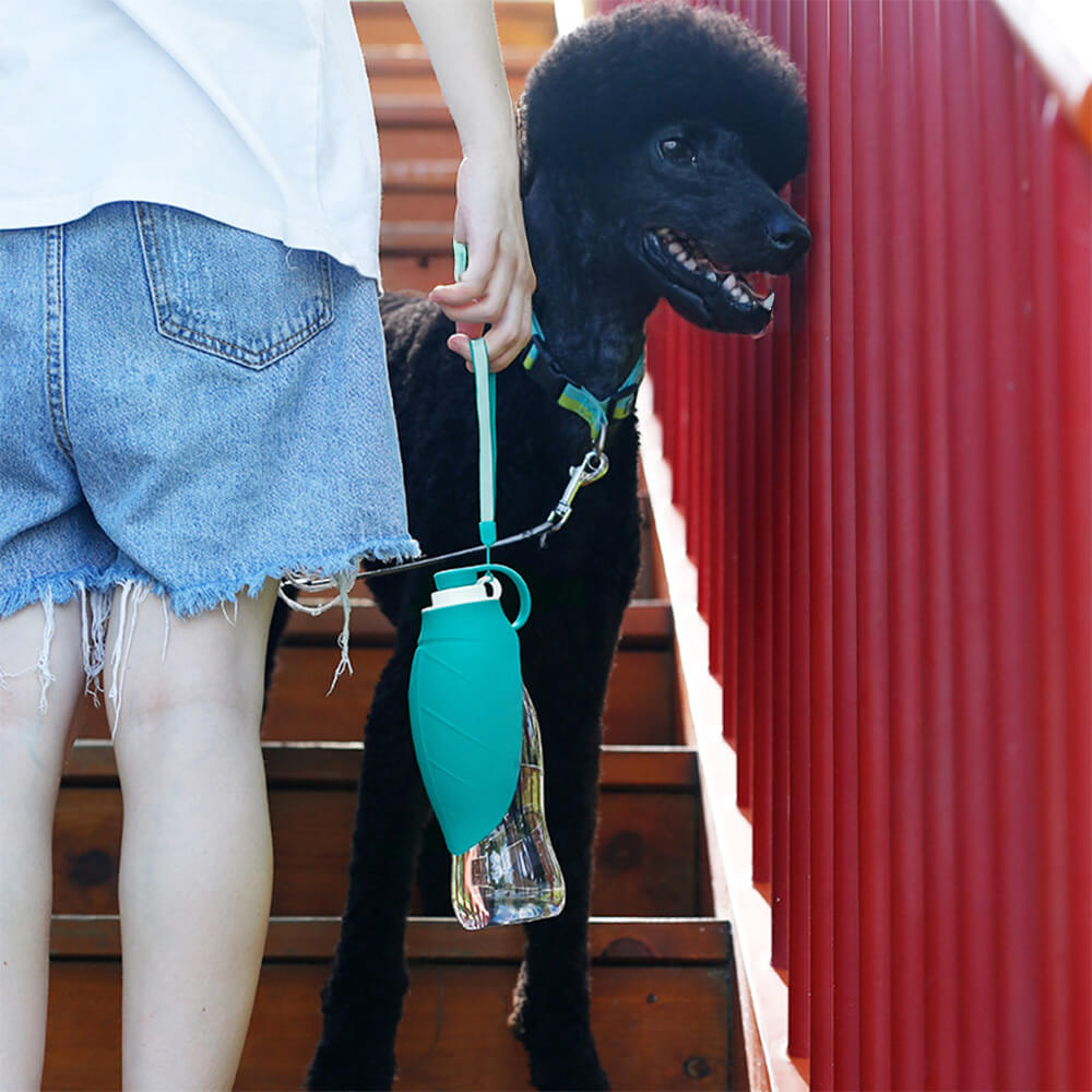 Portable Leaf-Shaped Outdoor Travel Water Dispenser Dog Water Bottle