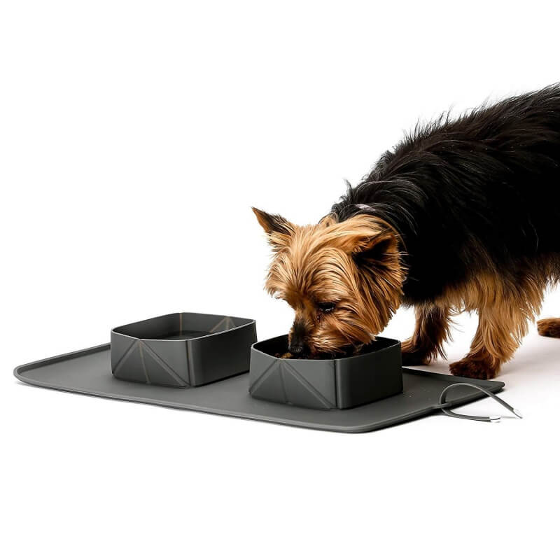 Portable Silicone Foldable Dual Dog Bowl