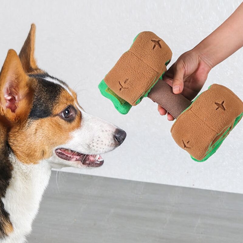 Puzzle Dispensador de comida Juguete interactivo para tratar con mancuernas para perros