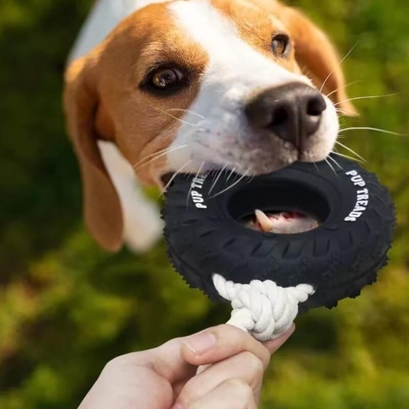 Rubber Tire Dog Interactive Toy Teething and Chewing Toy