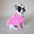 Soft Fluffy Fashion Luxurious Dog Turtleneck Knit Sweater