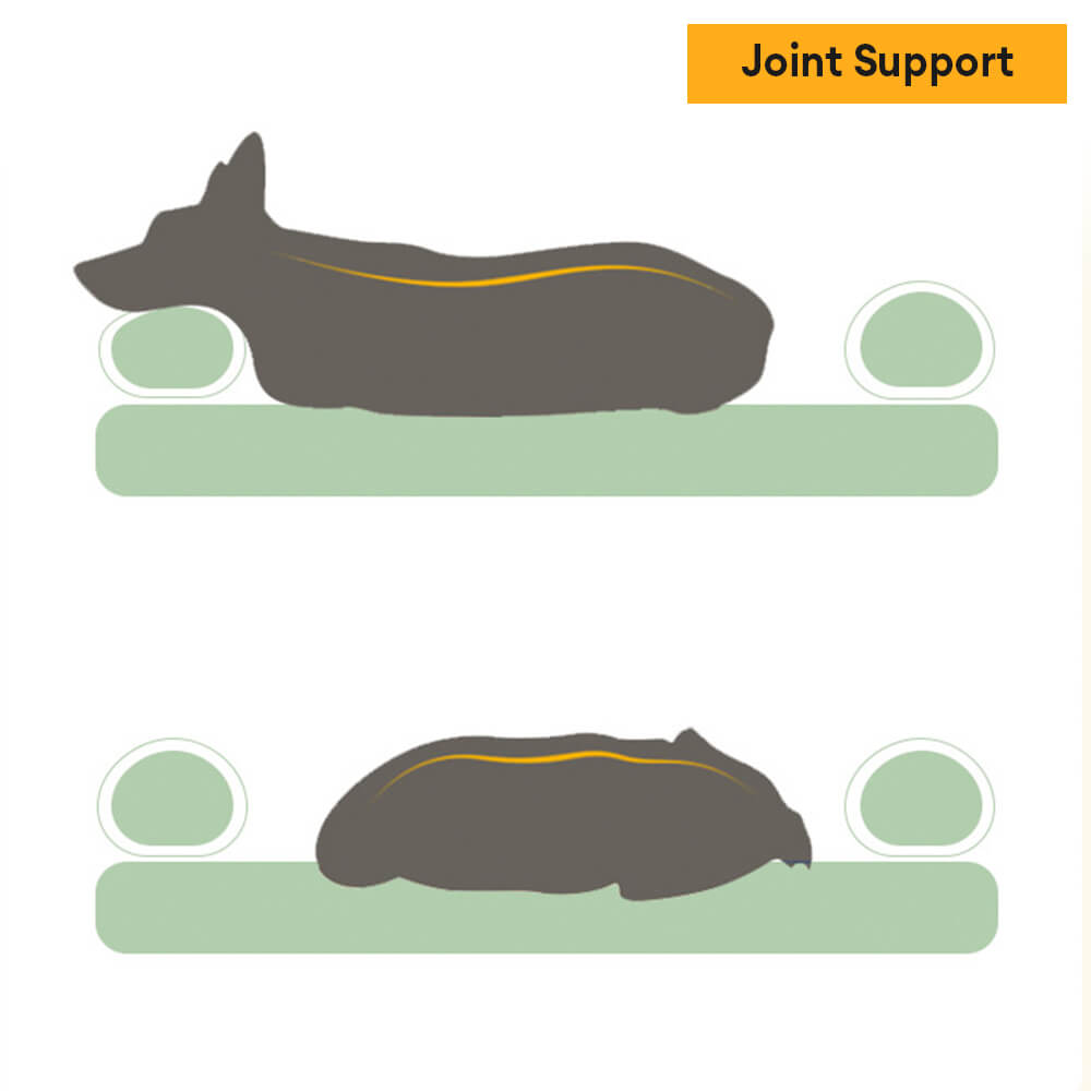 Camino acogedor y acogedor duradero ortopédico lavable y cama para perros y gatos