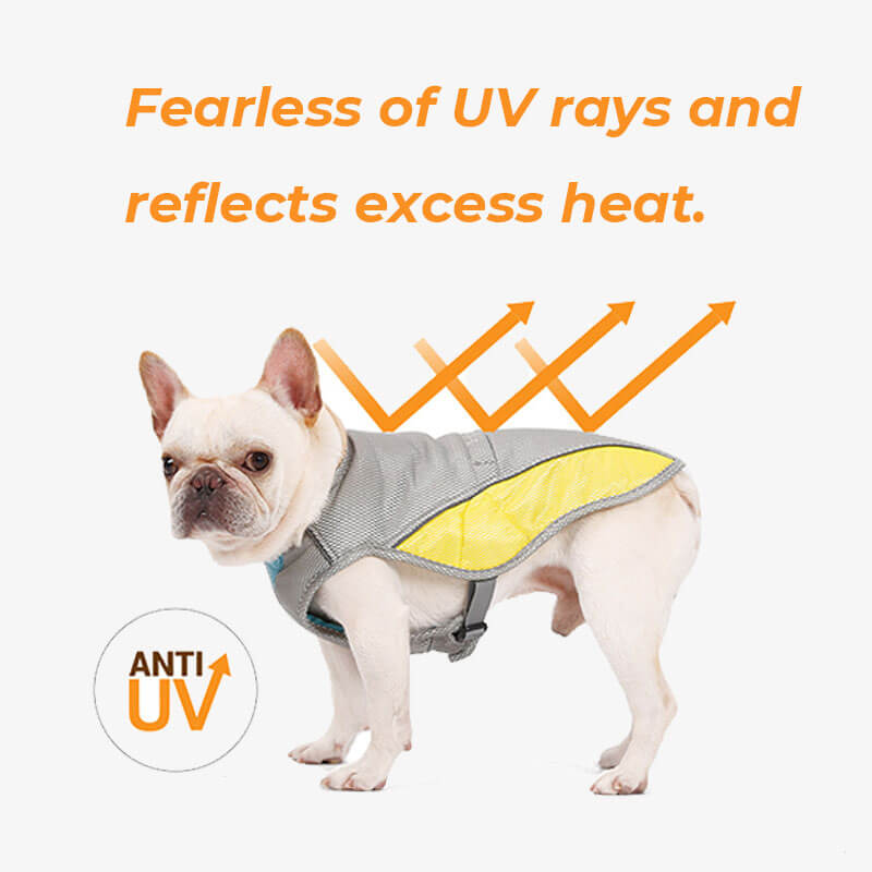 Chaleco de enfriamiento transpirable protector solar Chaqueta Cool Dog Accesorios Chaleco de enfriamiento