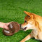 Super Bowl Plush Rugby Football Sound Toy Dog Toy Interactive Toy