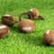 Super Bowl Plush Rugby Football Sound Toy Dog Toy Interactive Toy