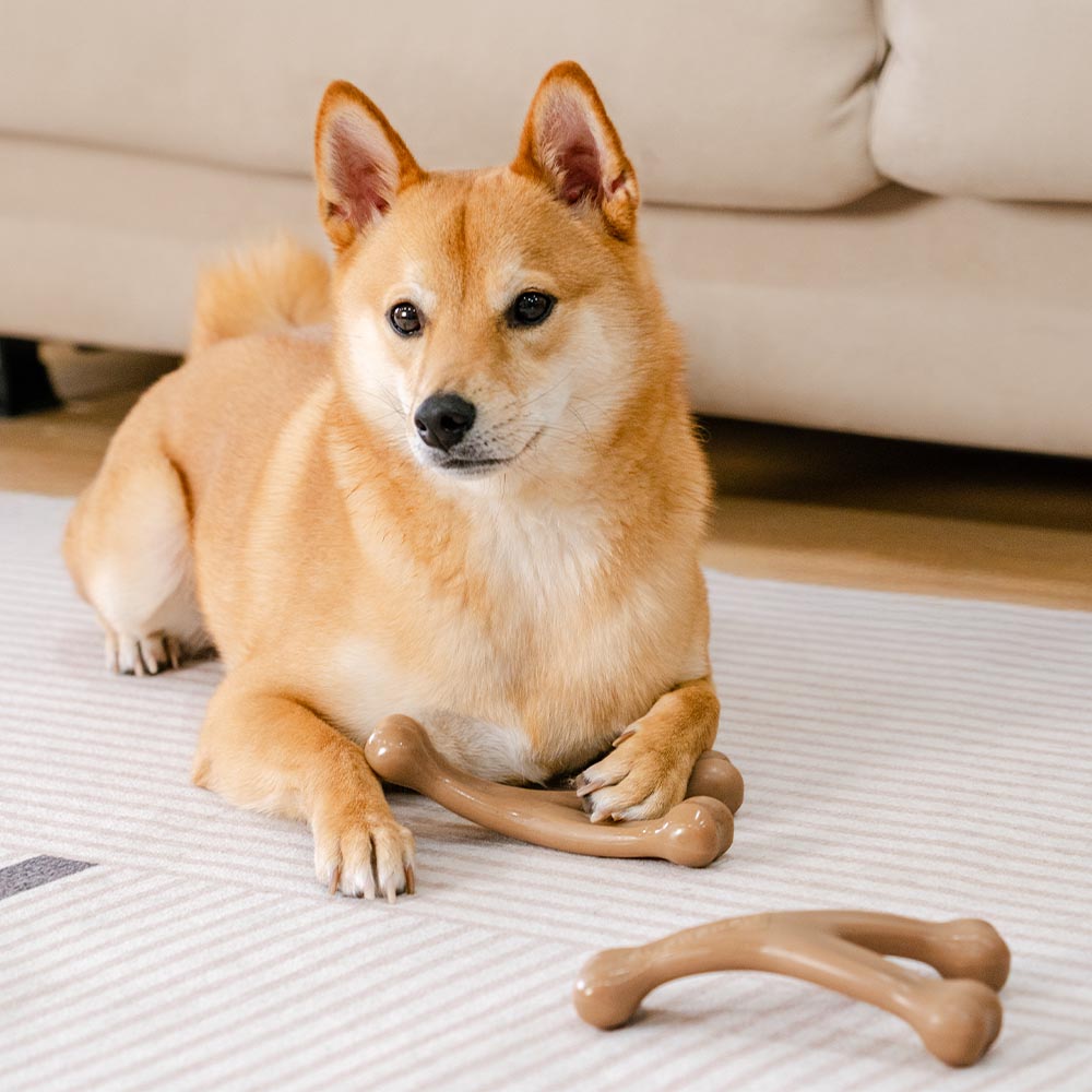 Teething Bones Dog Chew Toy - Bacon-Flavored