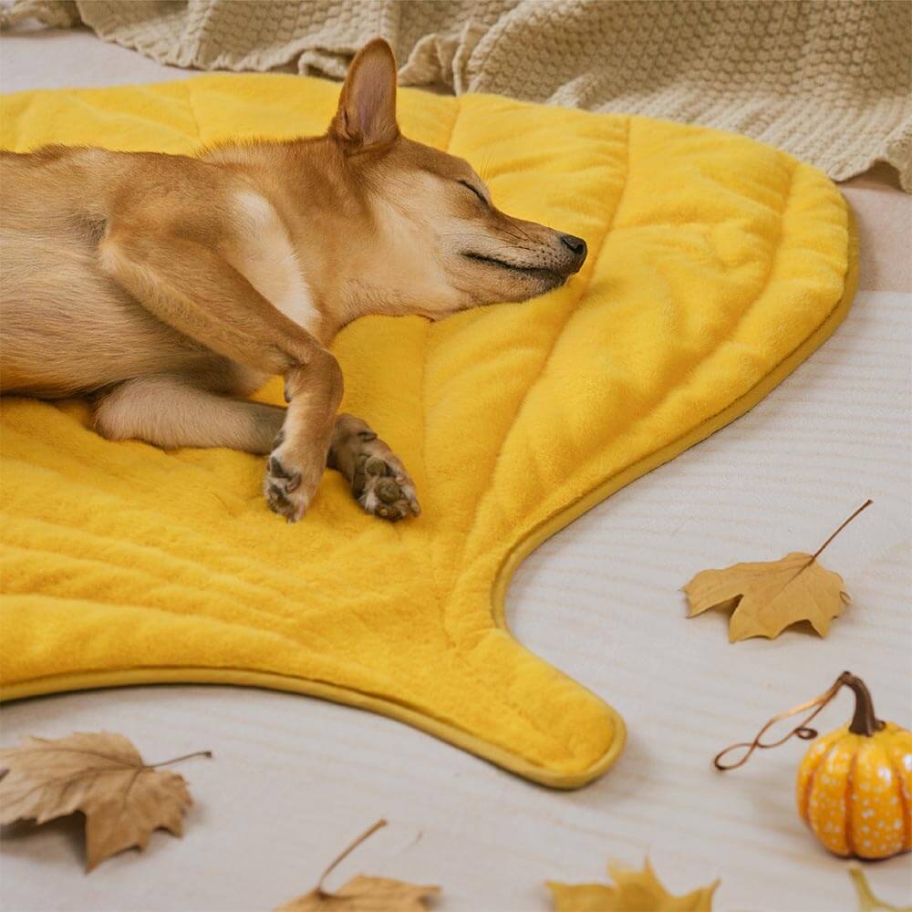 Plush Leaf-Shaped Washable Dog Mat-The Leaf Collector