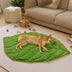 Matera para perros lavable en forma de hoja de felpa: el colector de hojas