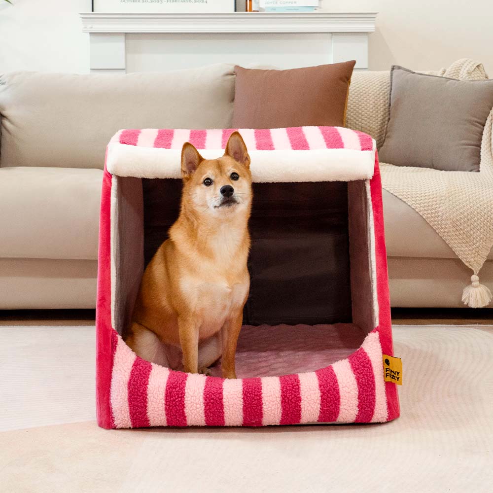 Trendy Striped House Orthopedic Dog Bed - Cozy Hideaway