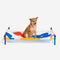 Cama de perros de aluminio vibrante de estilo de impresión de verano - paraíso de verano