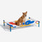 Cama de perros de aluminio vibrante de estilo de impresión de verano - paraíso de verano